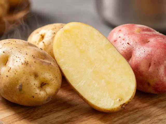 Jak dlouho vařit brambory: správný čas pro každý typ